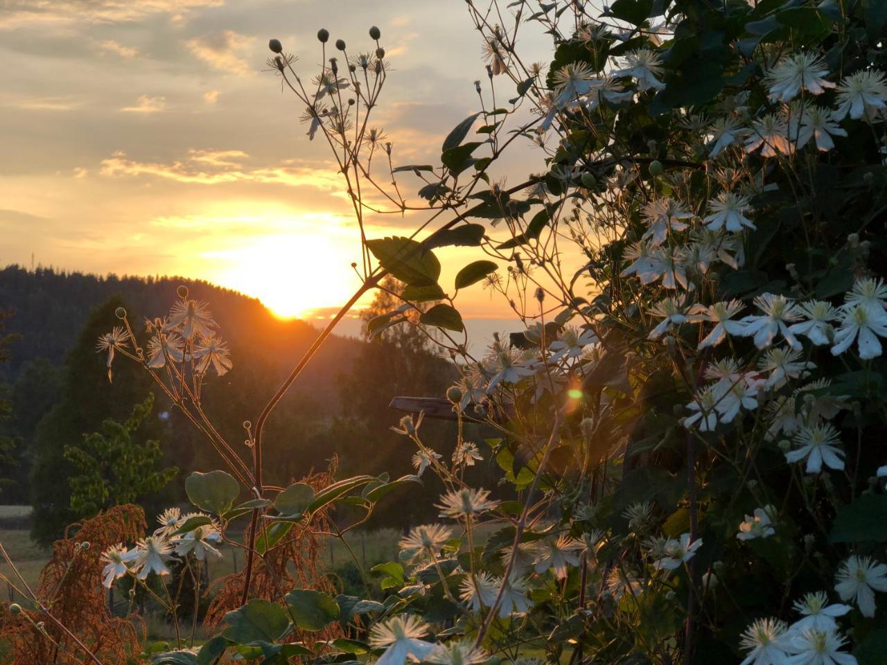 Loevas Gard Koppera Appartement Charlottenberg Buitenkant foto